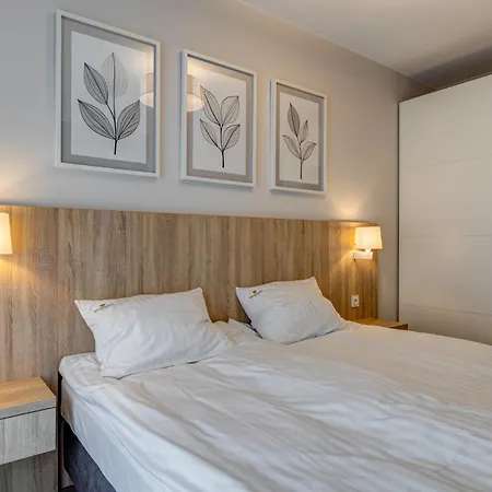 King Galaxy * 什切青