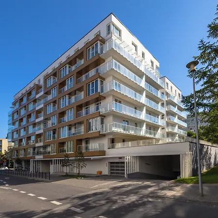 King Galaxy * Szczecin