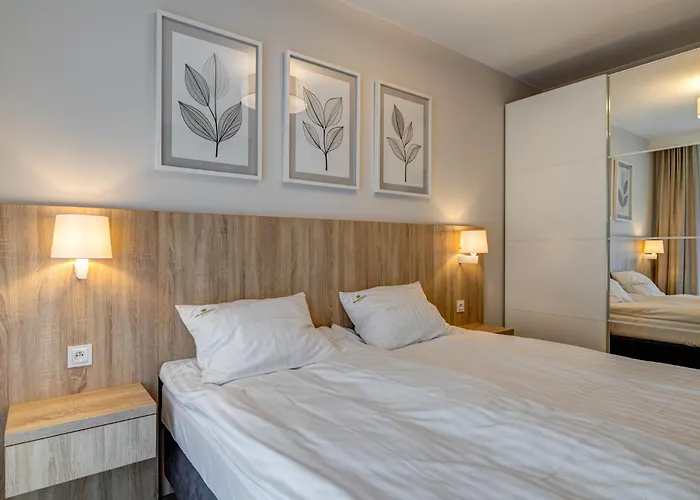 King Galaxy * شتشيتسين