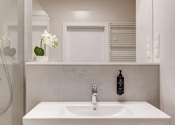 King Galaxy * شتشيتسين