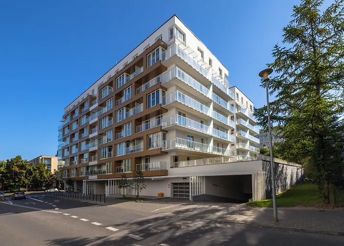 King Galaxy * شتشيتسين